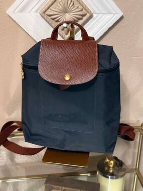 Longchamp gray  and Brown Le Pliage Backpack